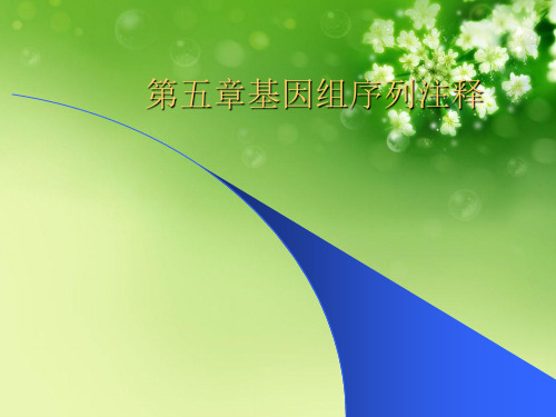 第五章基因组序列注释优秀课件