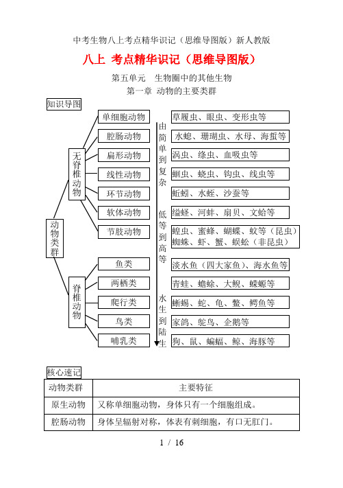 中考生物八上考点精华识记(思维导图版)新人教版