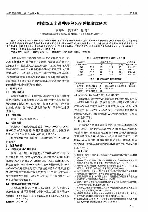 耐密型玉米品种郑单958种植密度研究