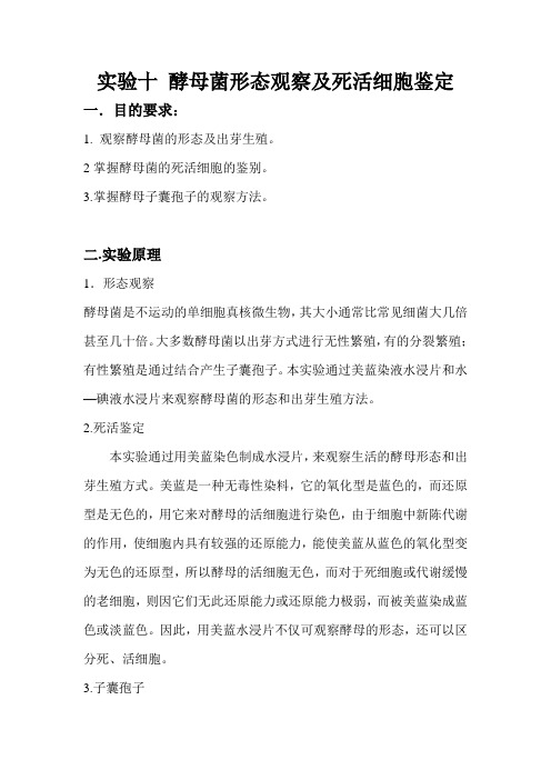 实验十_酵母菌形态观察及死活细胞鉴定