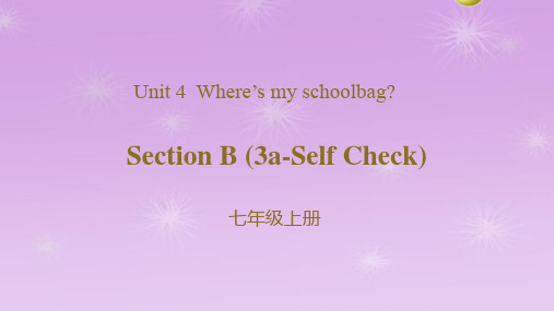 人教版(新目标)七年级上册Unit 4  Where's my schoolbag？Sect