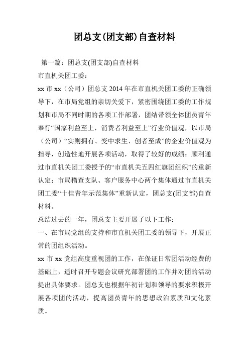 团总支(团支部)自查材料