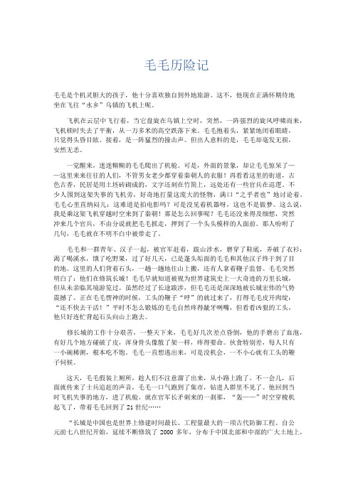 初中记叙文 毛毛历险记-精品