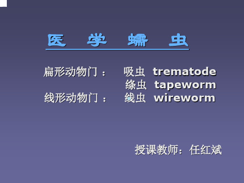 华支睾吸虫ppt课件_2