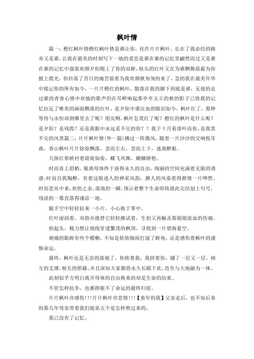 最新-枫叶情 精品