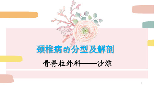 颈椎病的分型及解剖PPT课件