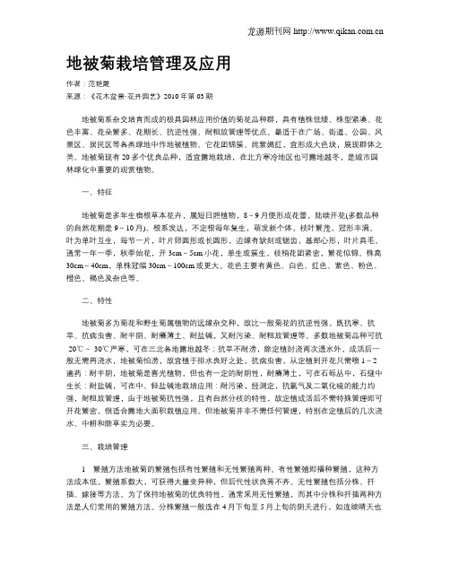 地被菊栽培管理及应用