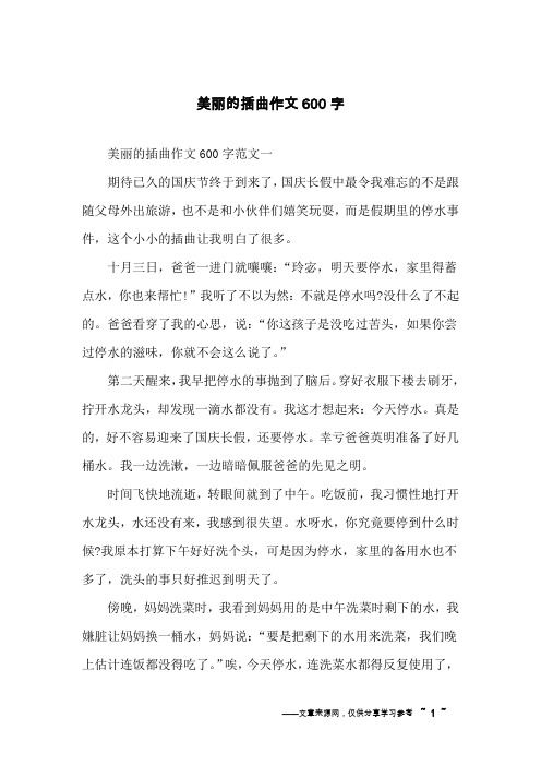 美丽的插曲作文600字