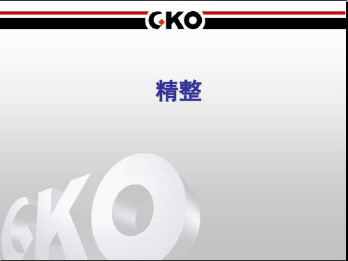 精整培训