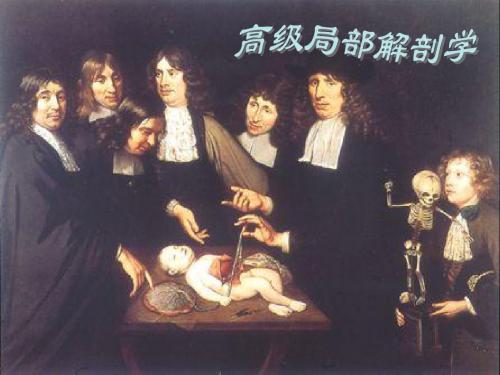 局部解剖学(复旦大学)