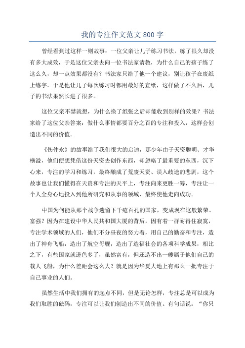 我的专注作文范文800字