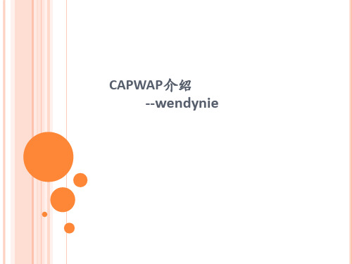 CAPWAP协议的介绍(四).
