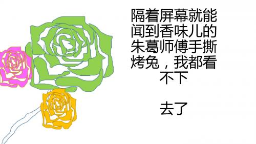 隔着屏幕就能闻到香味儿的朱葛师傅手撕烤兔我都看不去了2