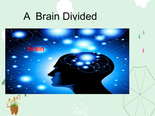 外研版英语必修四 Module 7 Reading (共17张PPT)