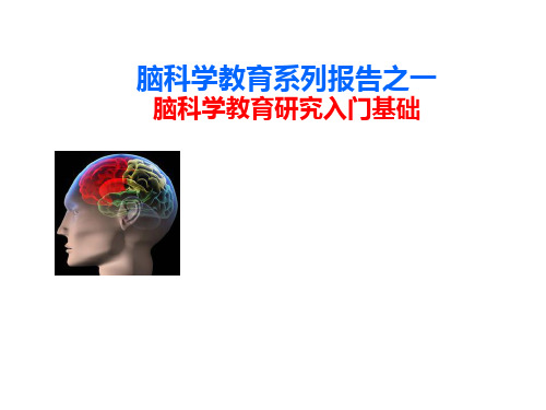 脑科学教育研究入门基础精品PPT课件