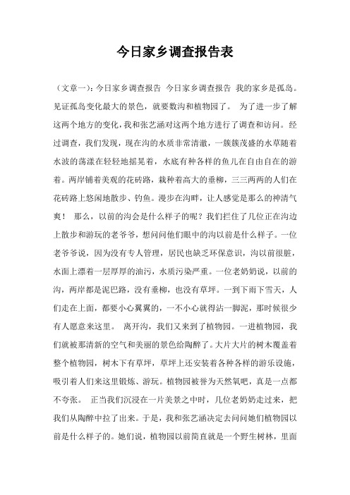 今日家乡调查报告表