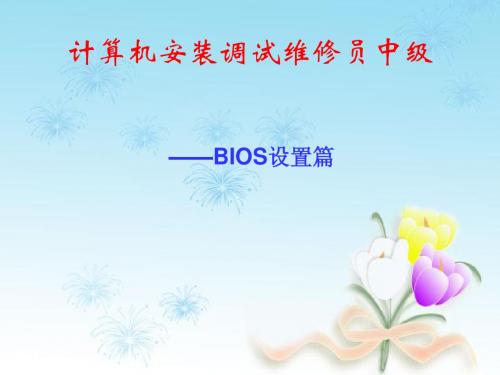 计算机安装调试维—BIOS设置