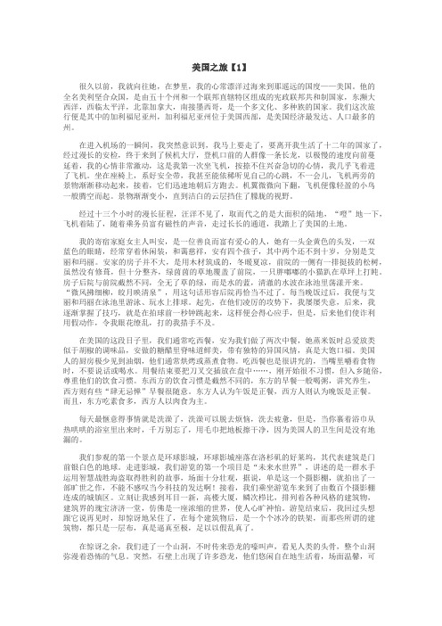 美国之旅作文
