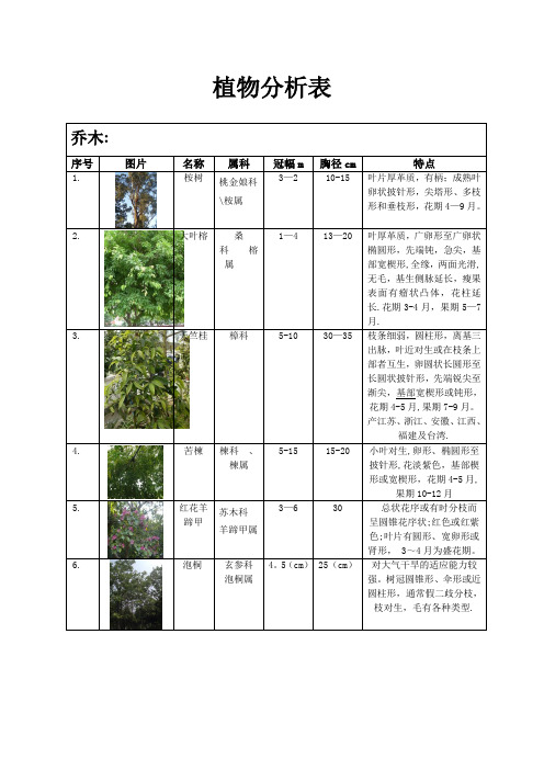 植物配置表