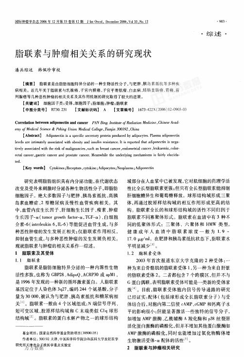 脂联素与肿瘤相关关系的研究现状