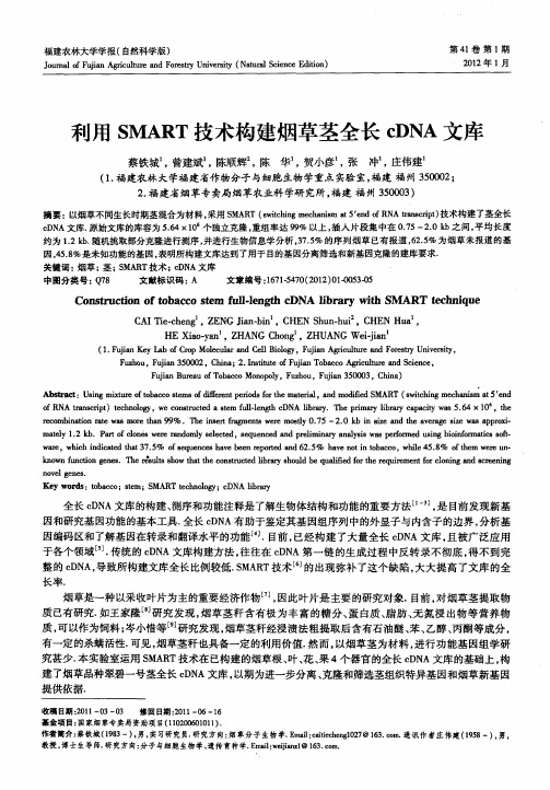 利用SMART技术构建烟草茎全长cDNA文库