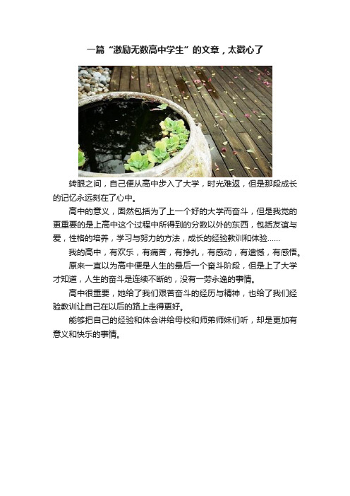 一篇“激励无数高中学生”的文章，太戳心了