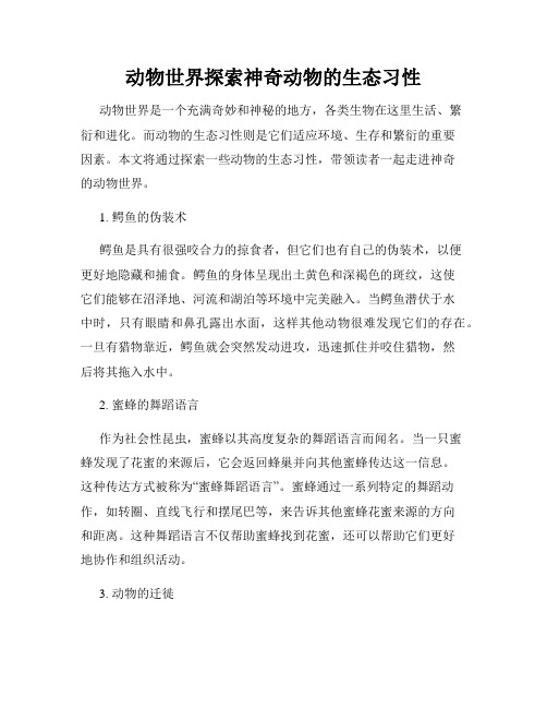 动物世界探索神奇动物的生态习性