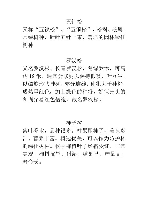 学校植物