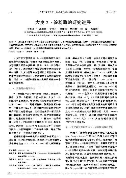 大麦_淀粉酶的研究进展