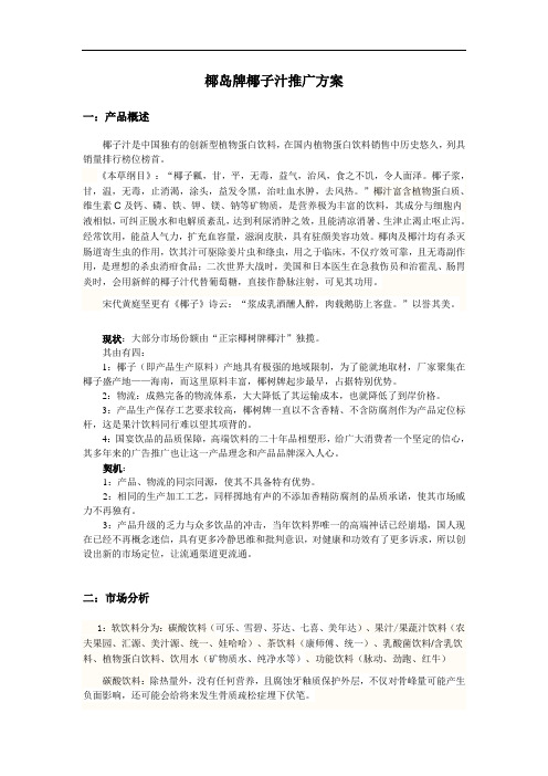 椰岛牌椰子汁推广方案