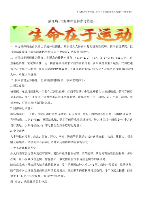 猫抓病(专业知识值得参考借鉴)