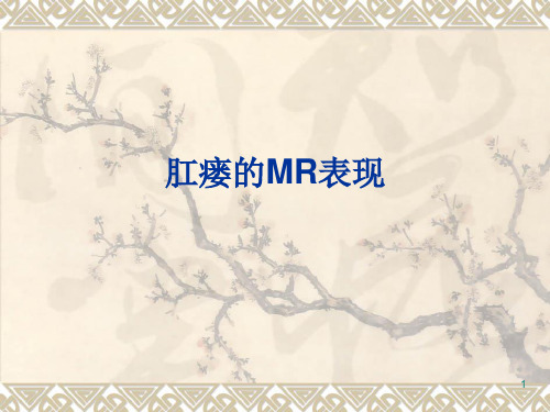 肛瘘的MR表现ppt课件