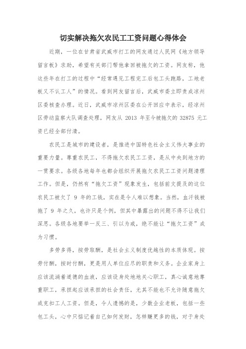 切实解决拖欠农民工工资问题心得体会