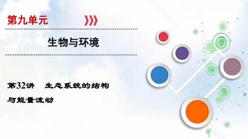 2019大一轮高考总复习生物(人教版)课件：第九单元 生物与环境 第32讲 生态系统的结构与能量流动