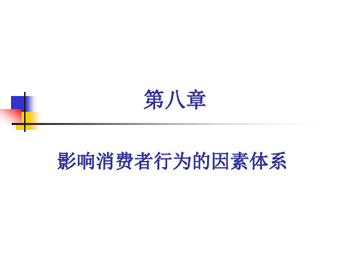 第8章影响消费者行为的因素体系