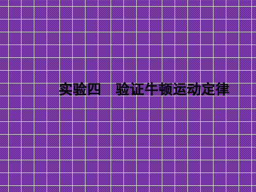 2012高考物理总复习(精品课件)实验四