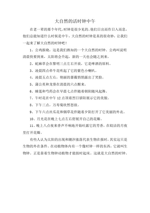 大自然的活时钟中午