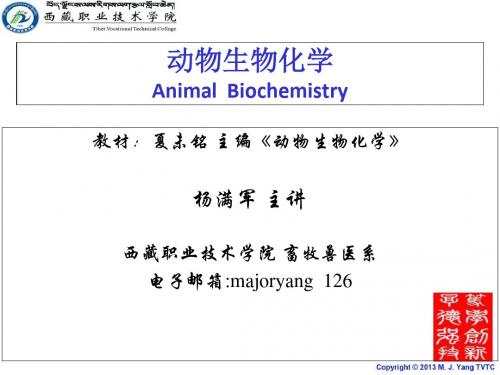 动物生物化学+杨满军2019