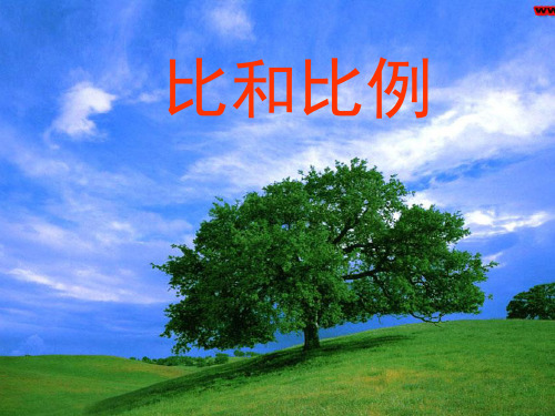 人教版六年级下册《比和比例》总复习