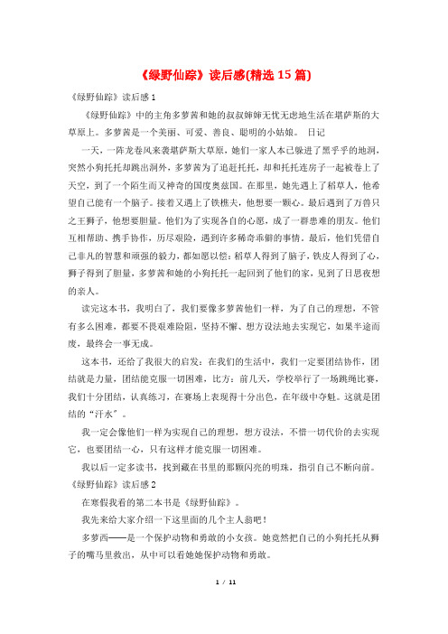 《绿野仙踪》读后感(精选15篇)