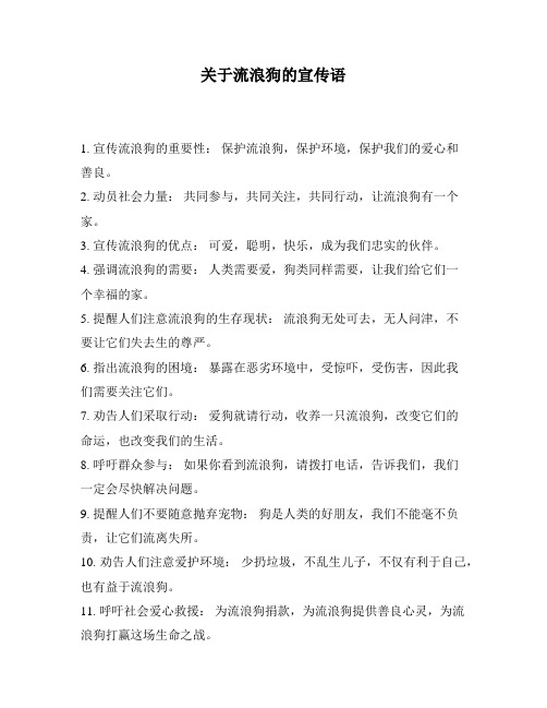 关于流浪狗的宣传语
