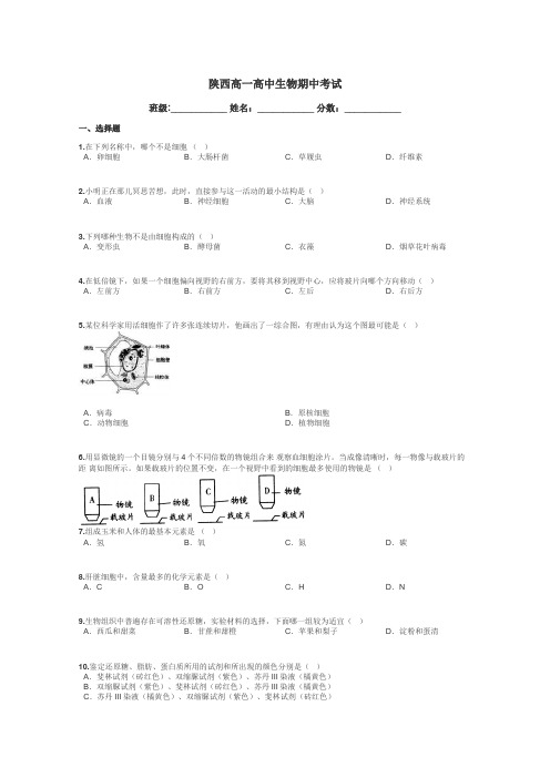 陕西高一高中生物期中考试带答案解析
