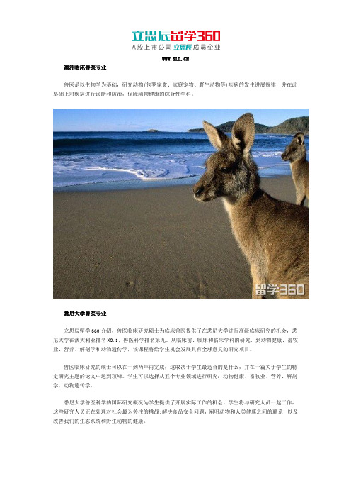 澳洲临床兽医专业