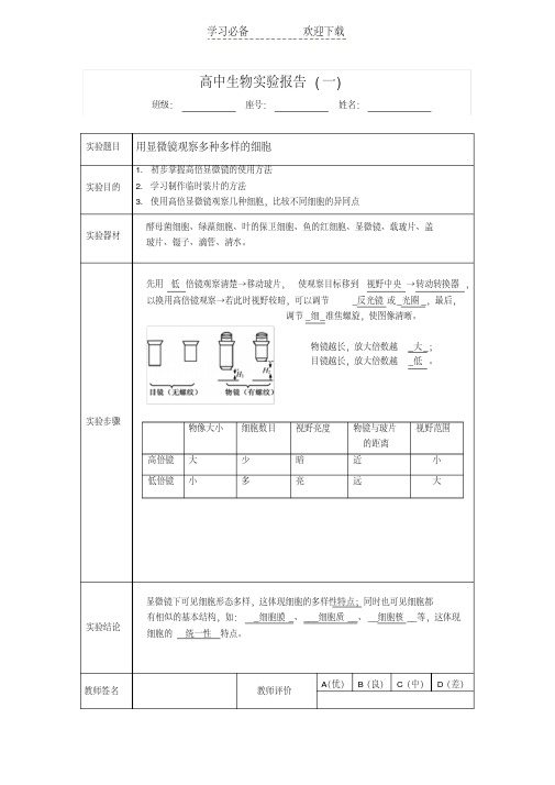 高中生物实验报告