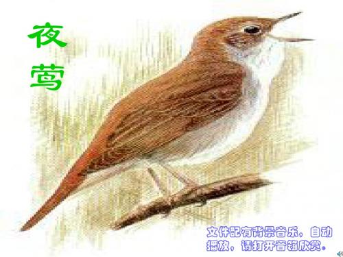 Nightingale