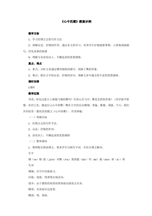 《心中的鹰》教案示例