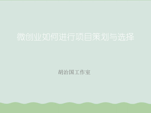 微创业如何进行项目策划与选择PPT课件