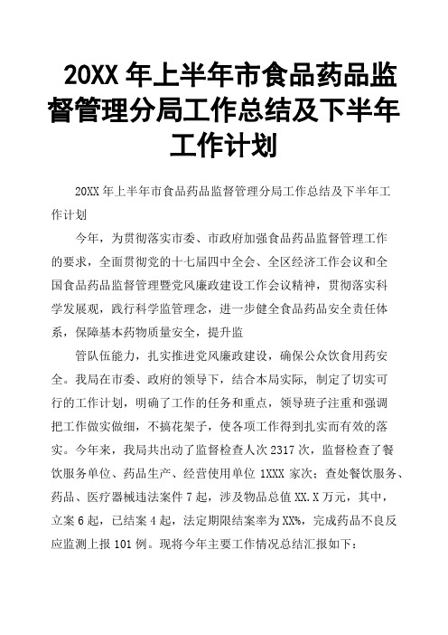 20XX年上半年市食品药品监督管理分局工作总结及下半年工作计划