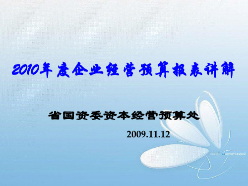 XXXX年度企业经营预算报表讲解(1)