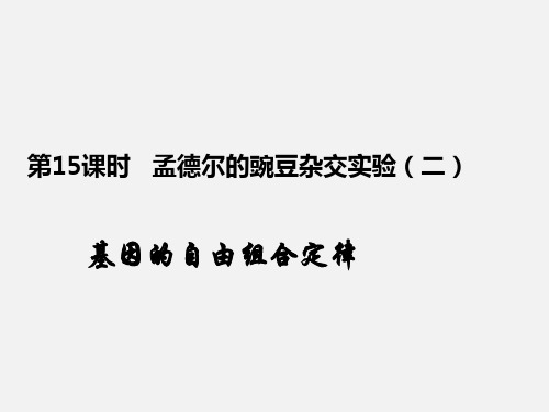高考生物 一轮复习 第15课时 基因的自由组合定律(第1课时)